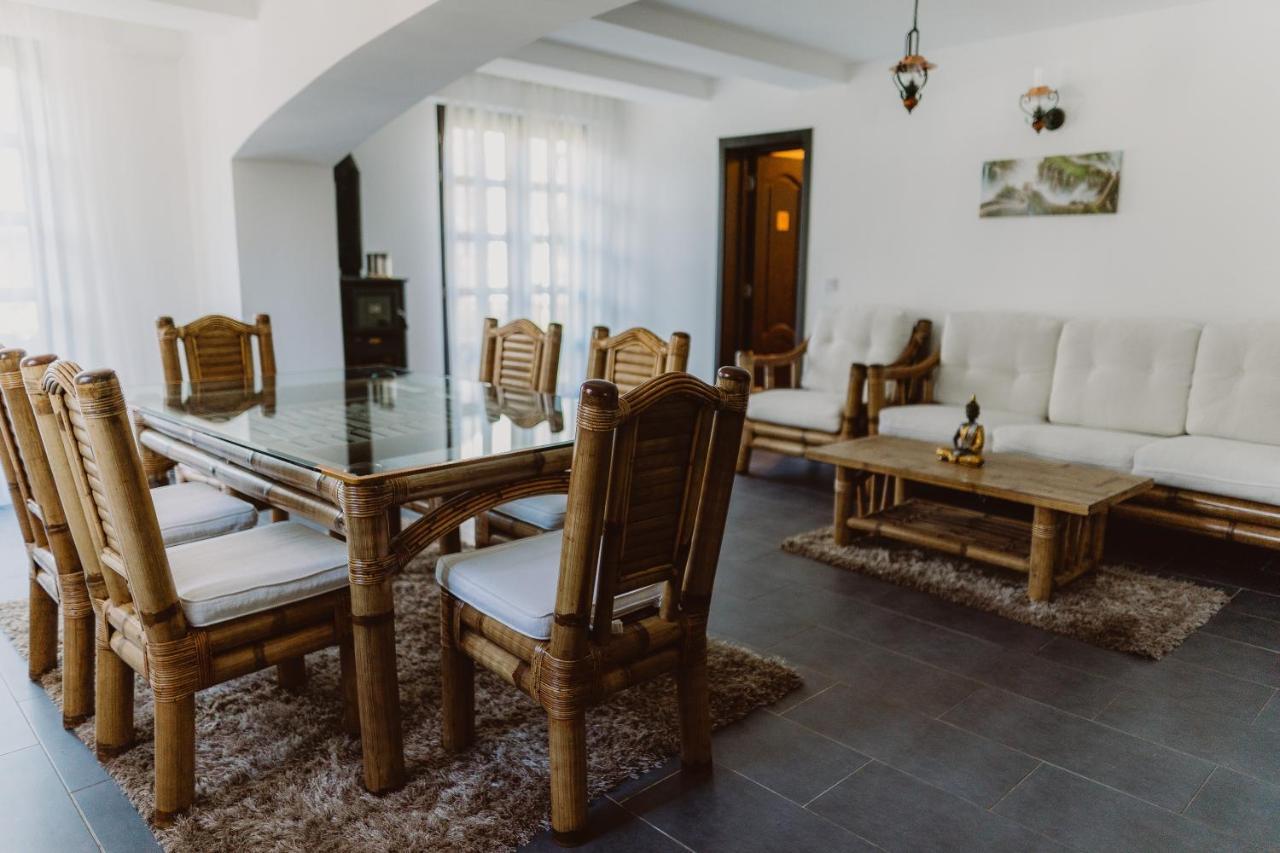 Vila Alsace Podu' Cu Lanturi Bacău Екстериор снимка
